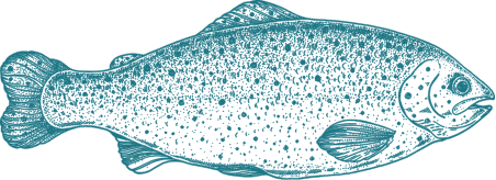 pesce